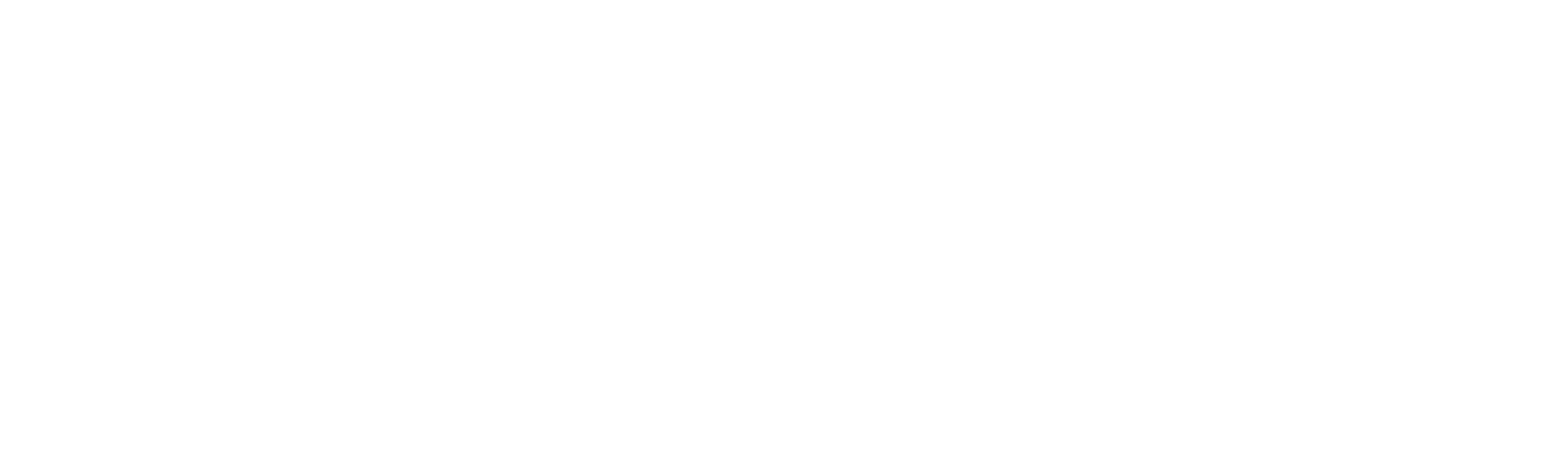 Triplide CRM